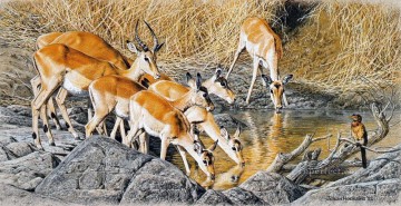 Animal Painting - impalas bebiendo